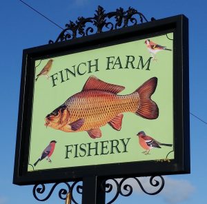 Finch Farm Finch Farm